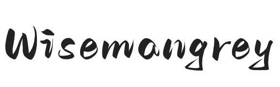wisemangrey.shop